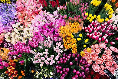 《怪物猎人崛起：曙光》免费更新第五弹介绍 4.20日发布